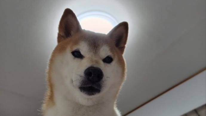 再び行動開始