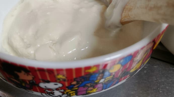 豆乳ヨーグルトを作ります!