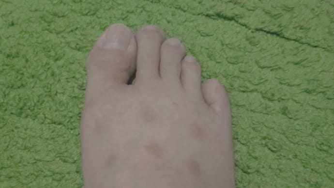 夏の思い出