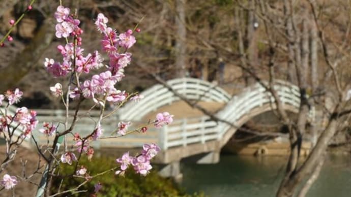 春の里山2022 ~町田の公園 春の兆し~