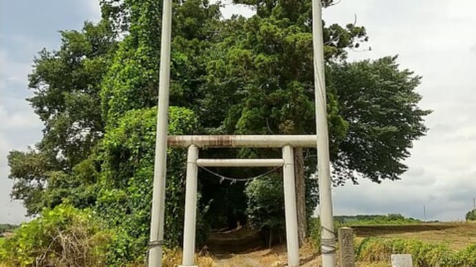 栃木県の寺社 下野市 谷地賀 星宮神社