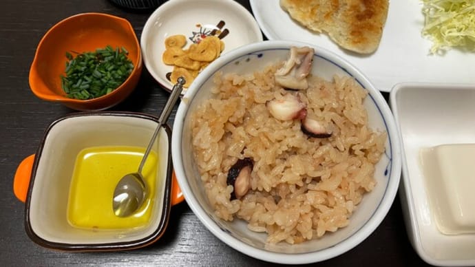 今日はタコ飯とアジフライと「風の森」!