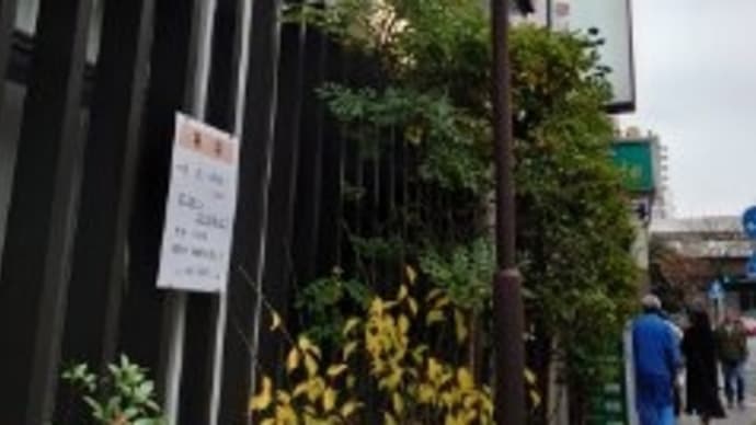 関内ランチと横浜ひとり歩き