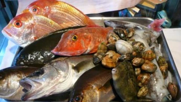 懐かしい魚たち