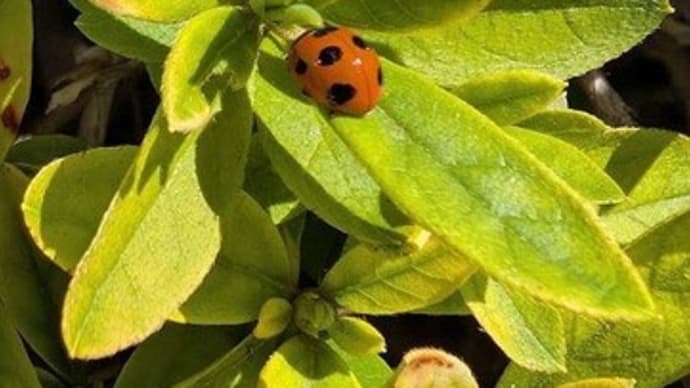 今朝の5分間