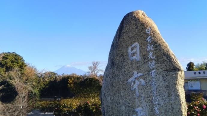 仕事はじめですが初詣