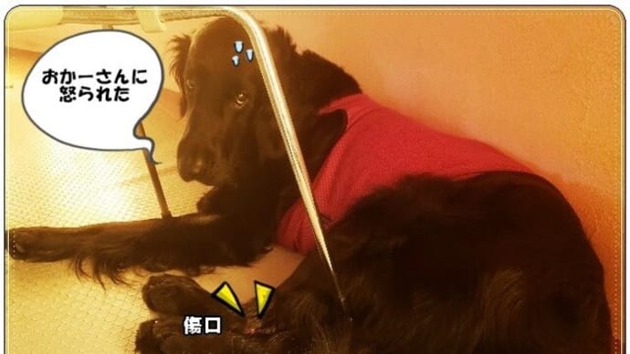足の傷口