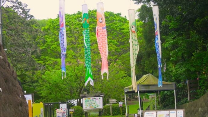 少年の森散策
