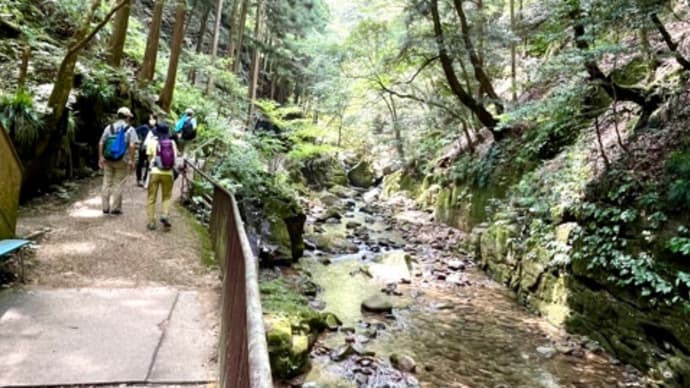 宮水ウオーク 赤目四十八滝を歩く