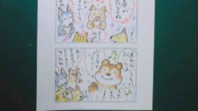 まるココの日々 (268)