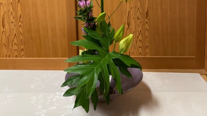 いけ花 流麗花 シベラス