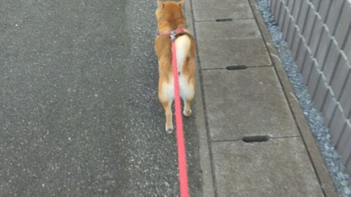 肩の荷が下りました