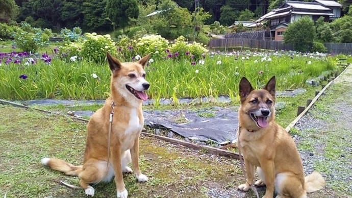 柳生十兵衛の里