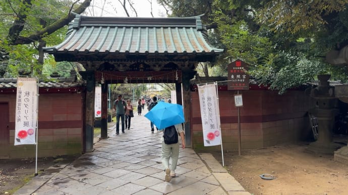 間違えて上野に行ったので、仕方なく上野東照宮を観てきたオッサン①