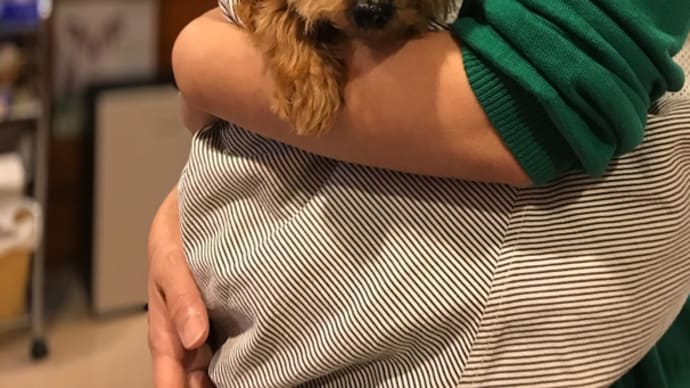 メラノーマ 手術 無事終わりました