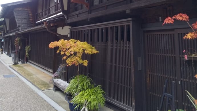 はじめまして!青ちゃんです