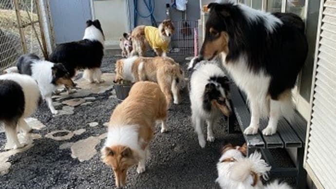 お立ち台