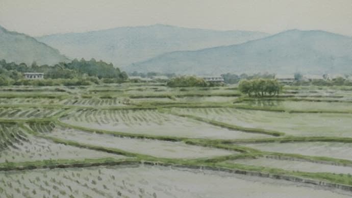 水彩画「上右田の水田」(新作)