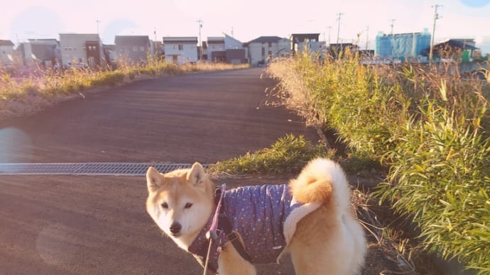 朝から大忙し!