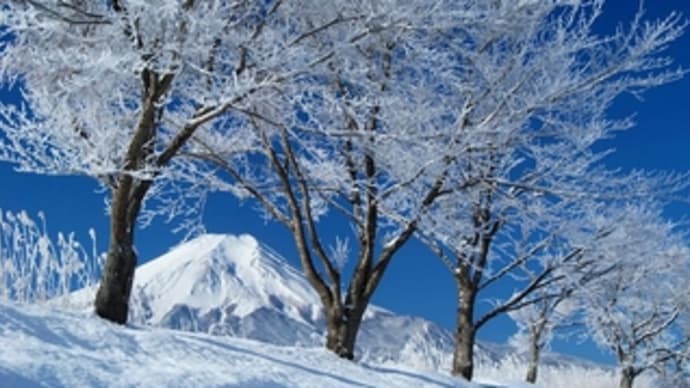 1/15~1/19の診療予約状況に関するご案内