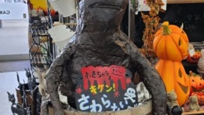 千代田のマンドレイク