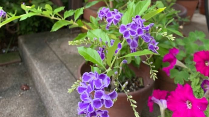 伸び縮みする時間 時の記念日に思ったこと