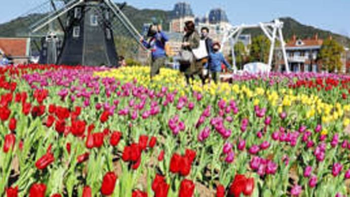 長崎県佐世保市「ハウステンボス」の「チューリップ祭」　2022年3月2日（水）