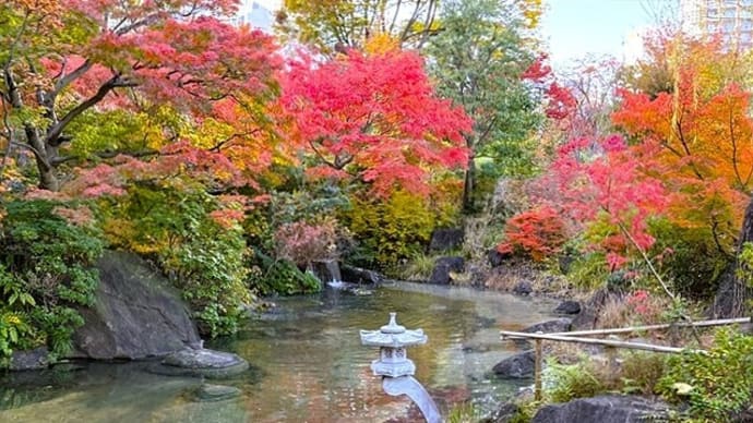 「檜町公園の紅葉」/東京ミッドタウン(六本木)
