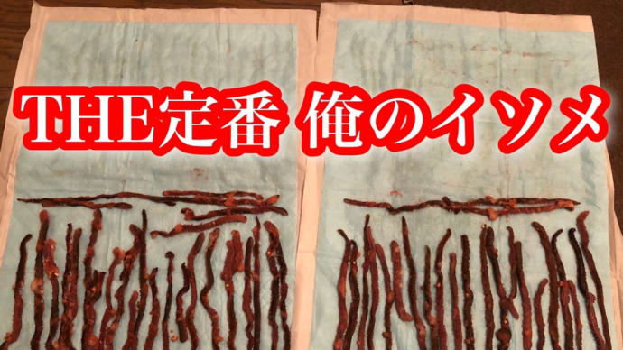 余った?遠投用?万能簡単イソメ