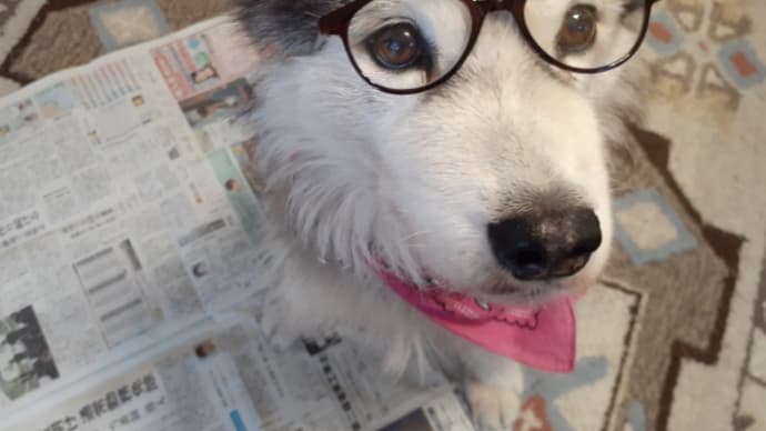 地方紙に記事が掲載されました