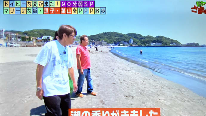 テルミンようこさん・テレビ出演