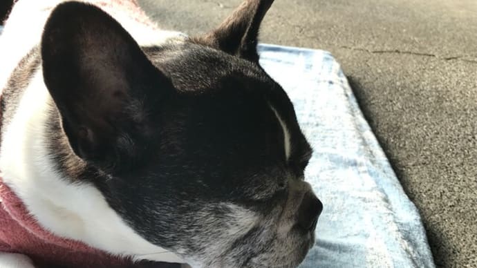 子守は疲れるよ~