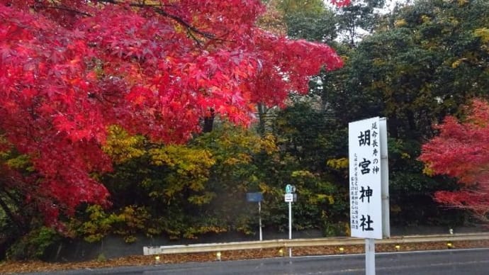 胡宮神社・紅葉