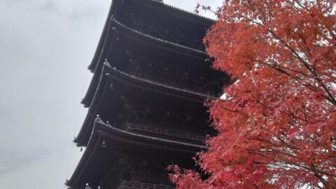 京都、東寺、五重塔（と紅葉）