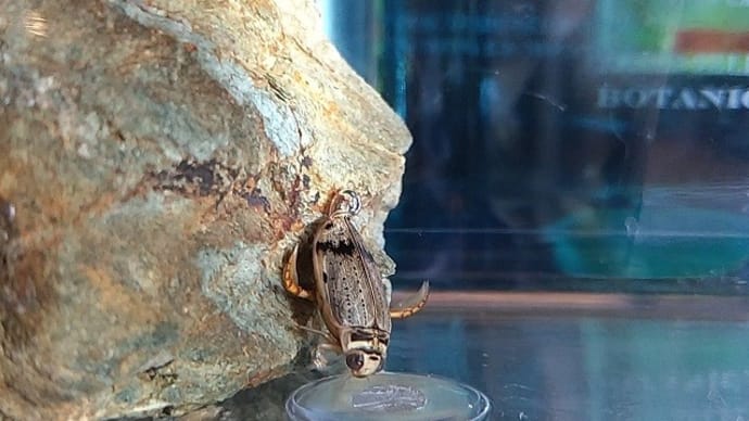 ご無沙汰しております！