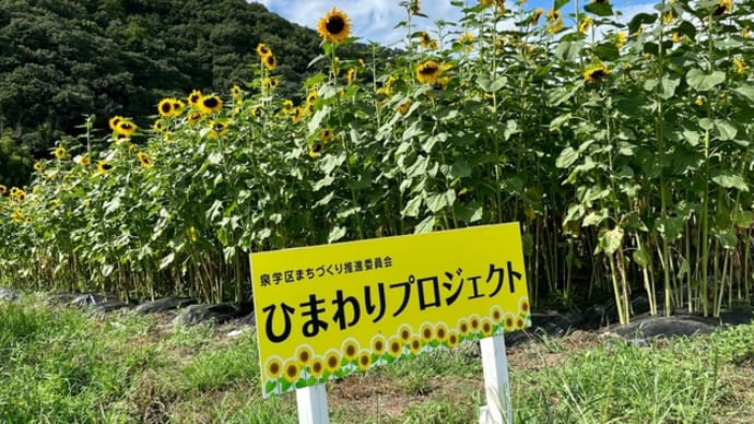 #花