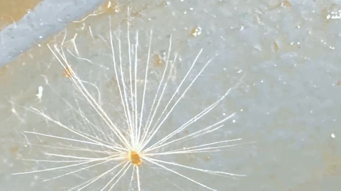 気持ちの持ちよう。