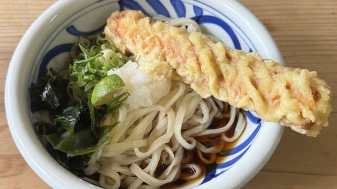 鳴門ぶっかけうどん