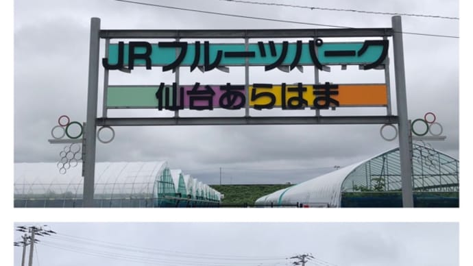 梨の食べ比べ