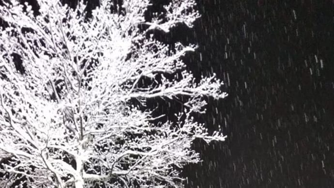 札幌の雪見たいなぁ♪