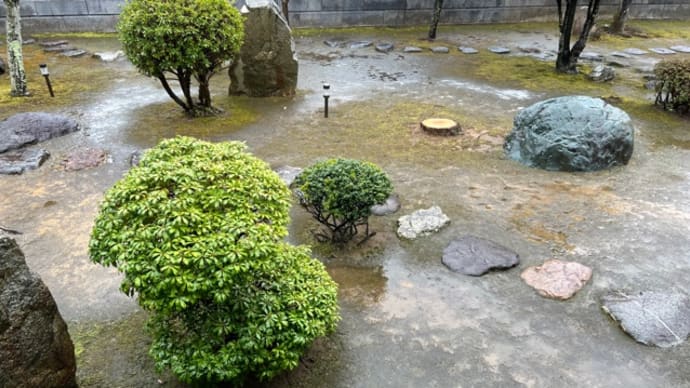 3/18雨の今日は休足日(一皮剥けば…)