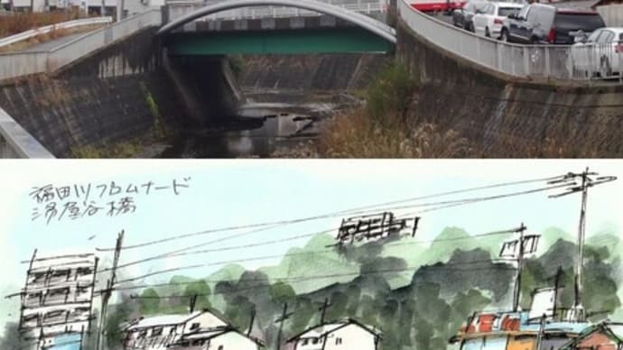 福田川プロムナード