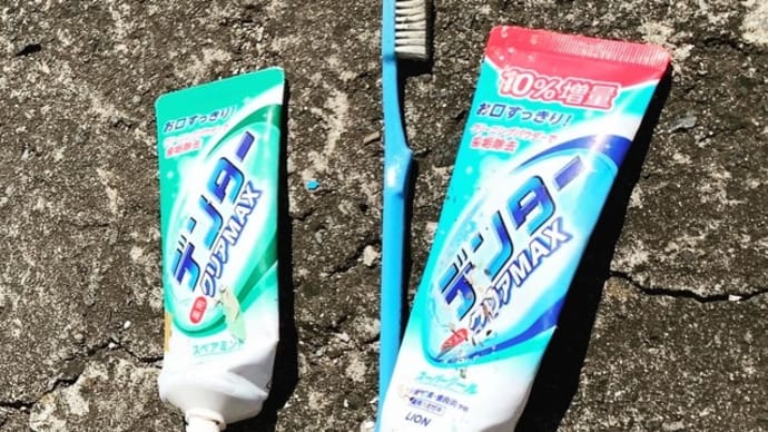 せつないゴミ
