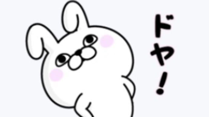 ココは、不良のような猫だった!