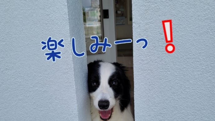 注射だとしても病院は楽しい