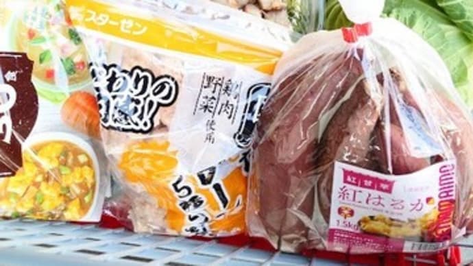 冬休みコストコにお買い物