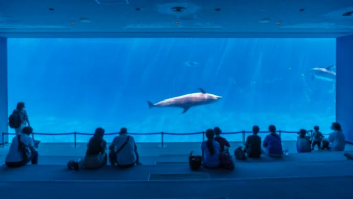 名古屋港水族館