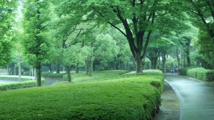 緑の道