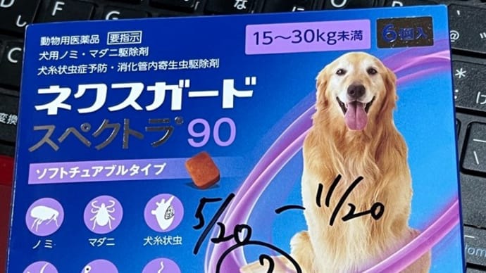 春の健康診断