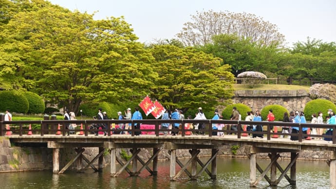 箱館五稜郭祭 最終日です